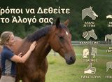 7 τροποι να δεθείτε με αλογο σας
