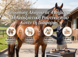 Grooming Αλόγου σε 4 Βήματα: Η Ανοιξιάτικη Ρουτίνα που Κάνει τη Διαφορά
