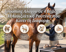 Grooming Αλόγου σε 4 Βήματα: Η Ανοιξιάτικη Ρουτίνα που Κάνει τη Διαφορά