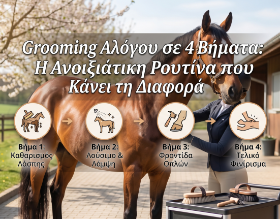Grooming Αλόγου σε 4 Βήματα: Η Ανοιξιάτικη Ρουτίνα που Κάνει τη Διαφορά