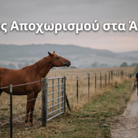 Άγχος Αποχωρισμού στα Άλογα