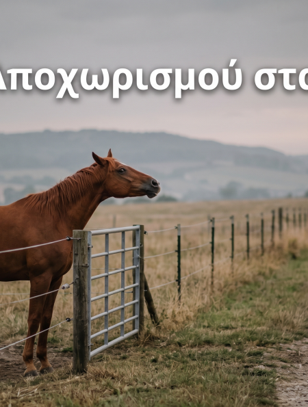 Άγχος Αποχωρισμού στα Άλογα