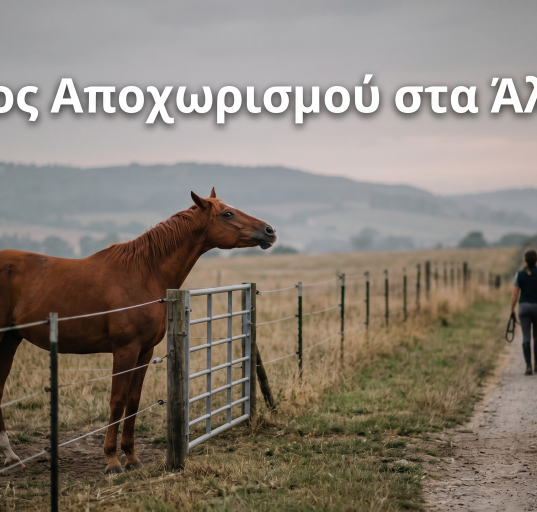 Άγχος Αποχωρισμού στα Άλογα