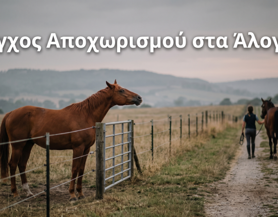 Άγχος Αποχωρισμού στα Άλογα