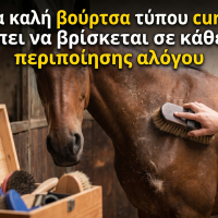 Γιατί μια καλή βούρτσα τύπου curry comb πρέπει να βρίσκεται σε κάθε κιτ περιποίησης αλόγου