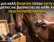 Γιατί μια καλή βούρτσα τύπου curry comb πρέπει να βρίσκεται σε κάθε κιτ περιποίησης αλόγου