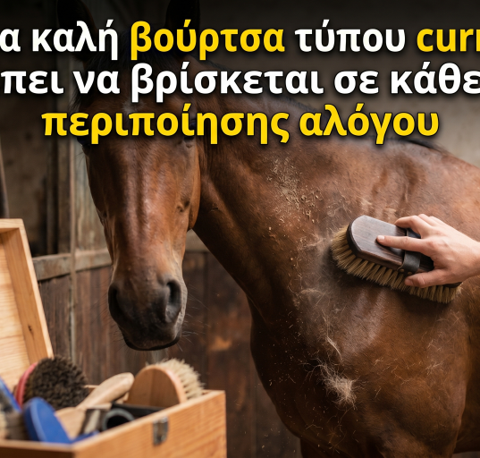 Γιατί μια καλή βούρτσα τύπου curry comb πρέπει να βρίσκεται σε κάθε κιτ περιποίησης αλόγου
