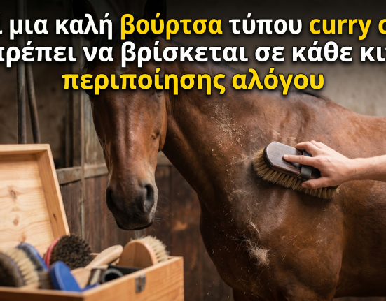 Γιατί μια καλή βούρτσα τύπου curry comb πρέπει να βρίσκεται σε κάθε κιτ περιποίησης αλόγου