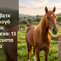 Πώς να καταλάβετε αν το άλογό σας είναι χαρούμενο- 13 αδιάψευστα σημάδια cover image αρθρου