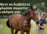 μαθετε να διαβασεται τη γλωσσα σωματος του αλογου