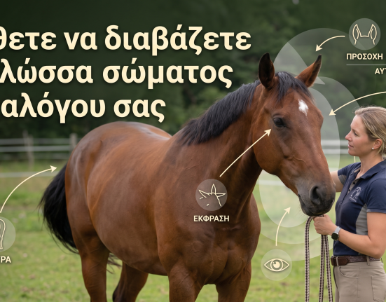 μαθετε να διαβασεται τη γλωσσα σωματος του αλογου